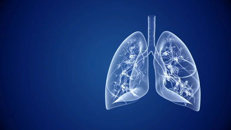 lungs
